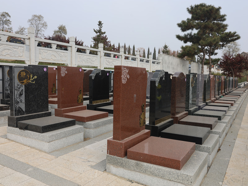 玫瑰園
