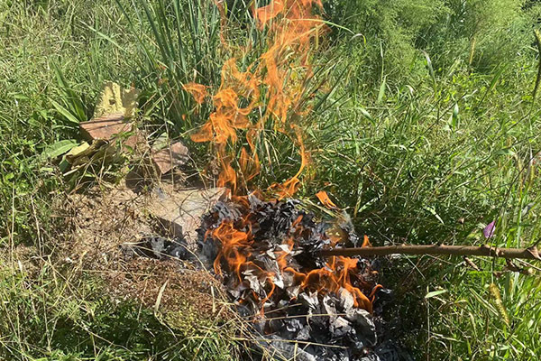 遼寧十佳公墓龍生是城市中的花園公墓，沈陽墓地下元節在各地有什么風俗？