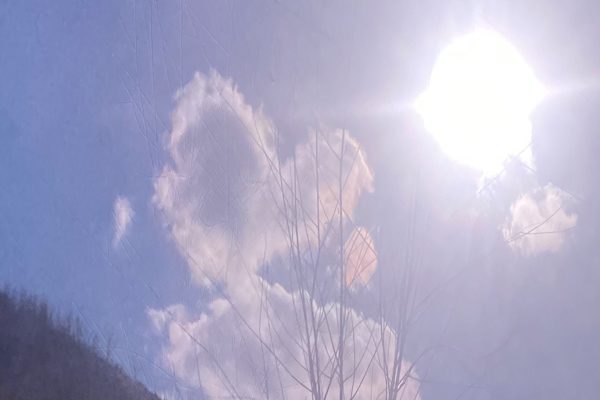 沈陽墓園哪家好的龍生墓園，大自然的風景，雙龍戲寶！