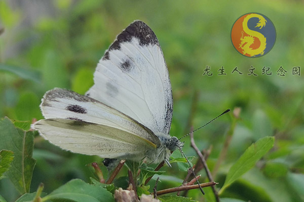 沈陽龍生人文紀念園：殯葬教育聚焦人才培養，龍生墓園準確把握現代沈陽墓園內涵和方向！
