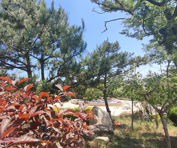 沈陽墓園有哪些?沈陽墓地排名價格一覽殯葬文書的公墓涵義