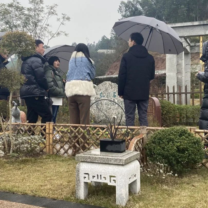 2024龍生山城游|同享歡樂時光，沈陽陵園共赴美好未來！