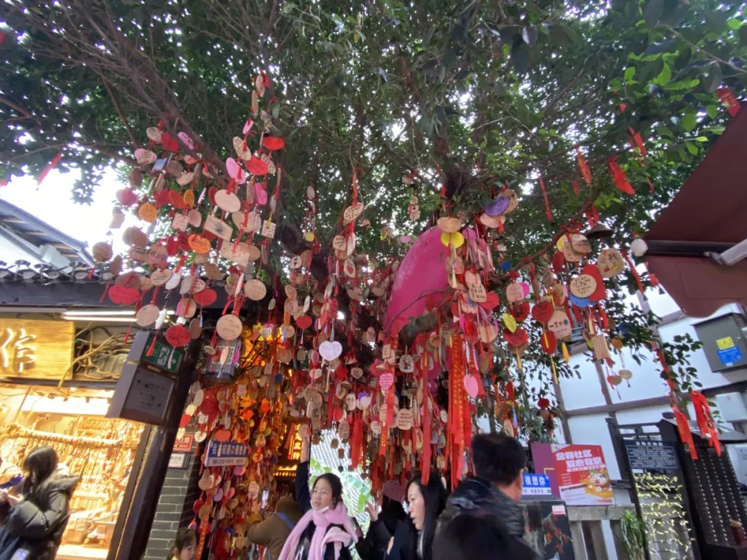 2024龍生山城游|同享歡樂時光，沈陽陵園共赴美好未來！