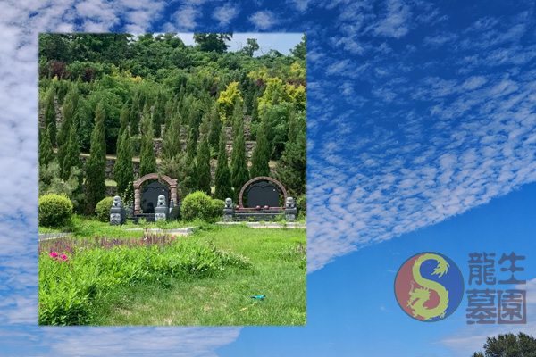 沈陽墓地陵園迎立秋，龍生墓園帶您悠然靜賞這豐年稔歲的序章！
