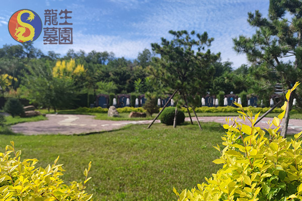 沈陽墓園提供選墓指導，龍生墓園講師全程一對一服務！