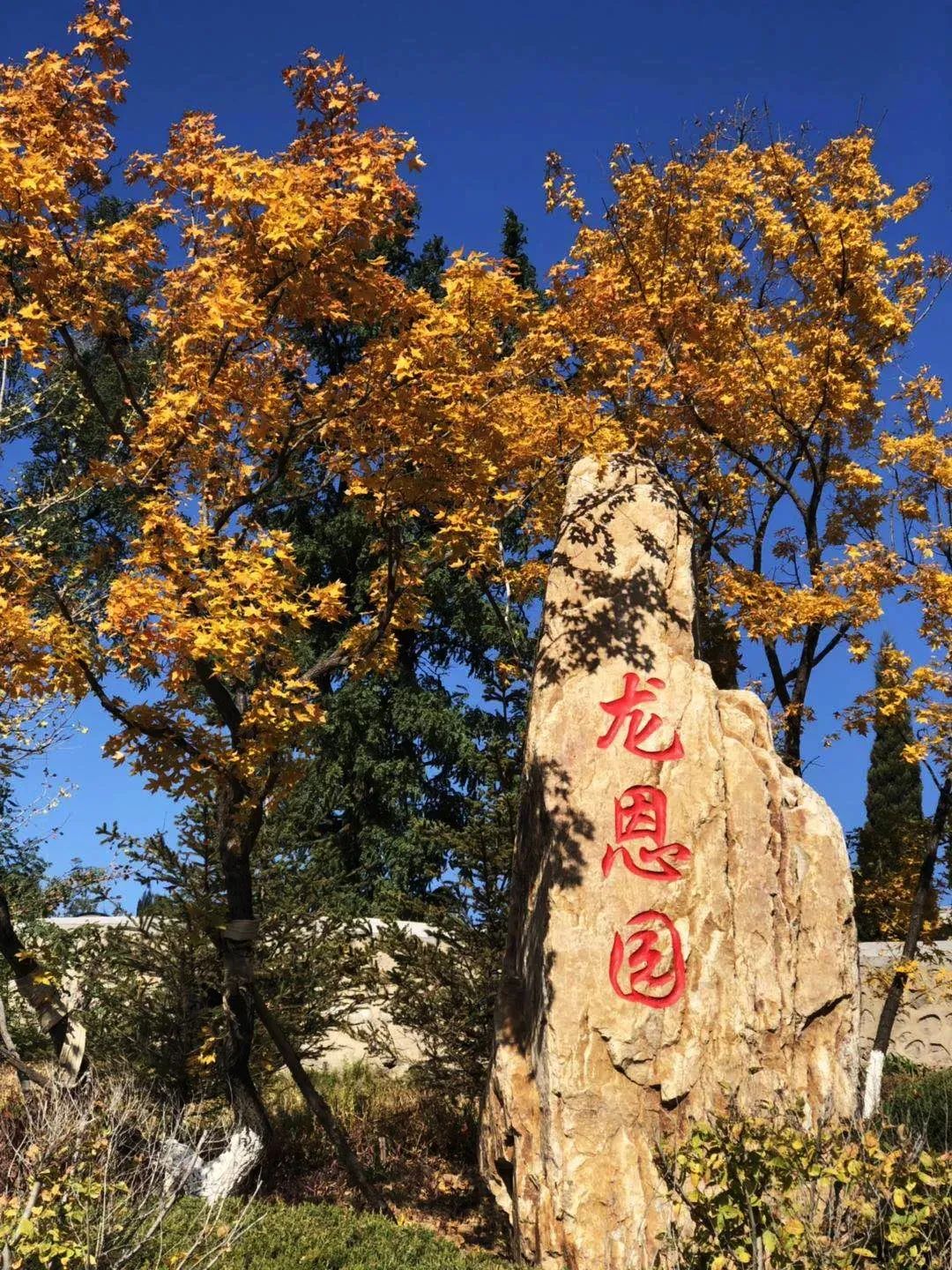 情暖寒衣|沈陽龍生墓園代祭為您傳遞冬日的第一縷溫柔
