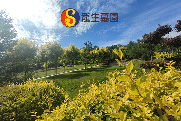 沈陽陵園環境與設施有什么優勢，龍生墓地墓位有哪些朝向可以選擇？