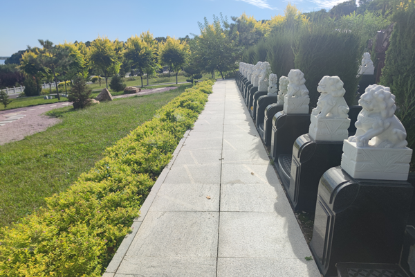 在購買沈陽墓園時，除了考慮墓園的標準尺寸外，還需要注意哪些方面？