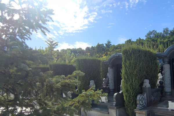 在進行沈陽陵園遷墳時，有哪些重要的講究和注意事項需要遵循？