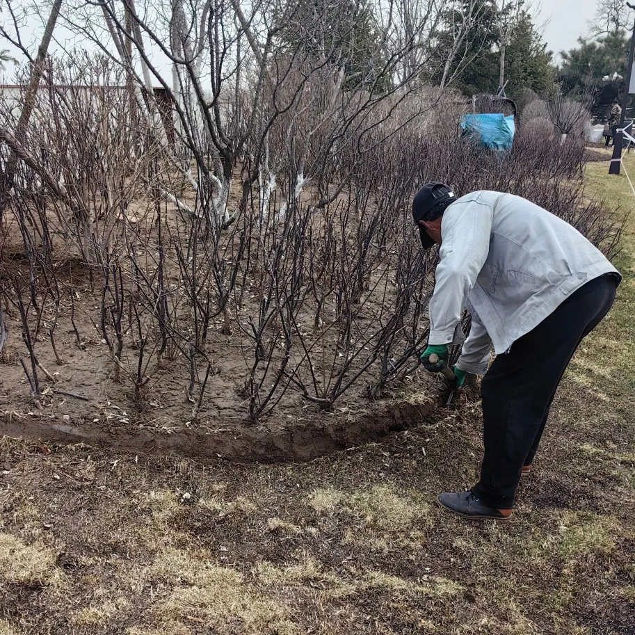 清明時節，沈陽墓園以心守候 | 記龍生墓地的春日長情