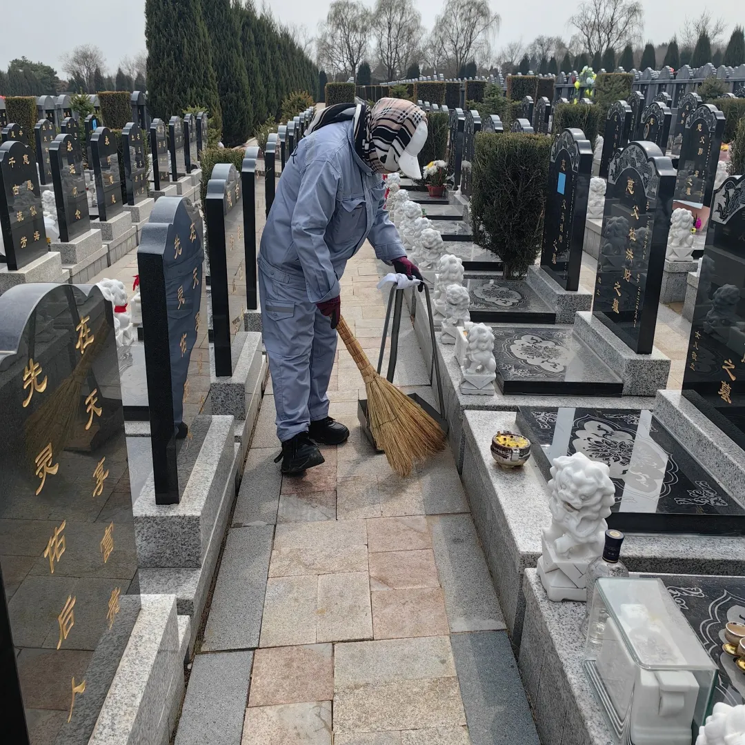 清明時節，沈陽墓園以心守候 | 記龍生墓地的春日長情