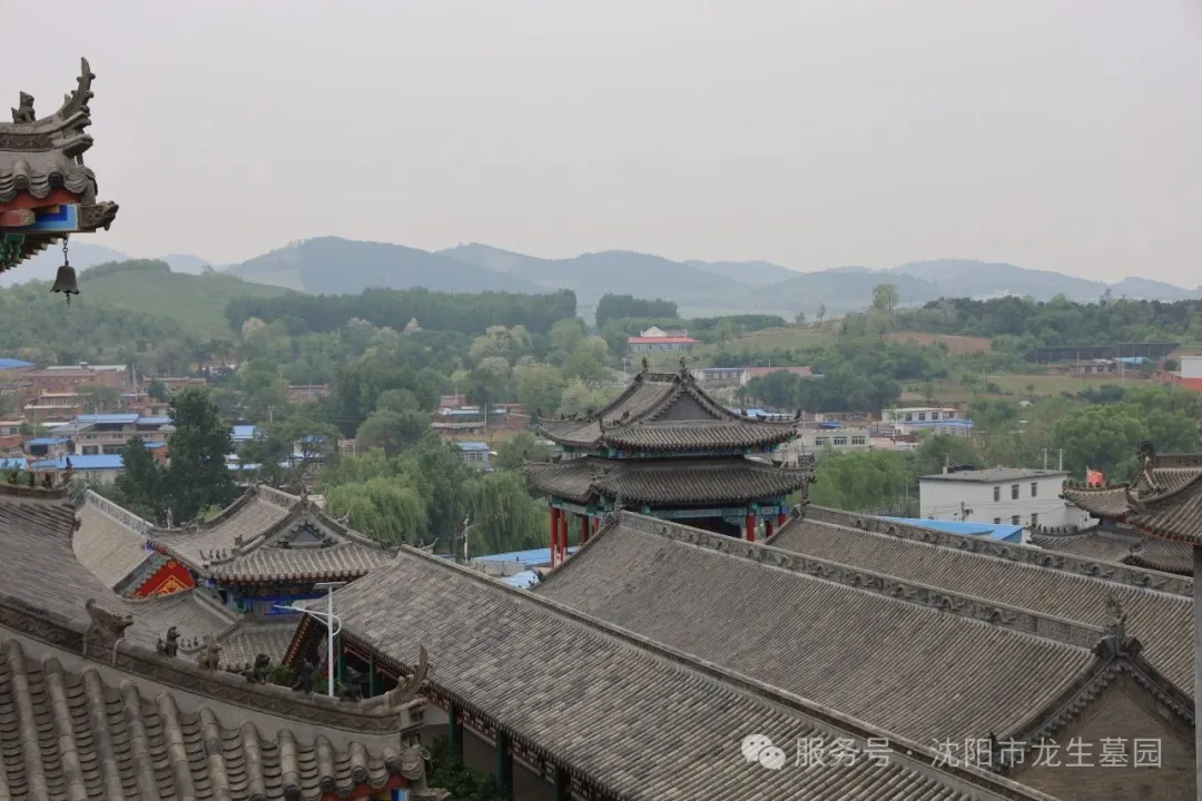 粽香寄情，溫暖同行——沈陽墓園記2025龍生端午公益一日游