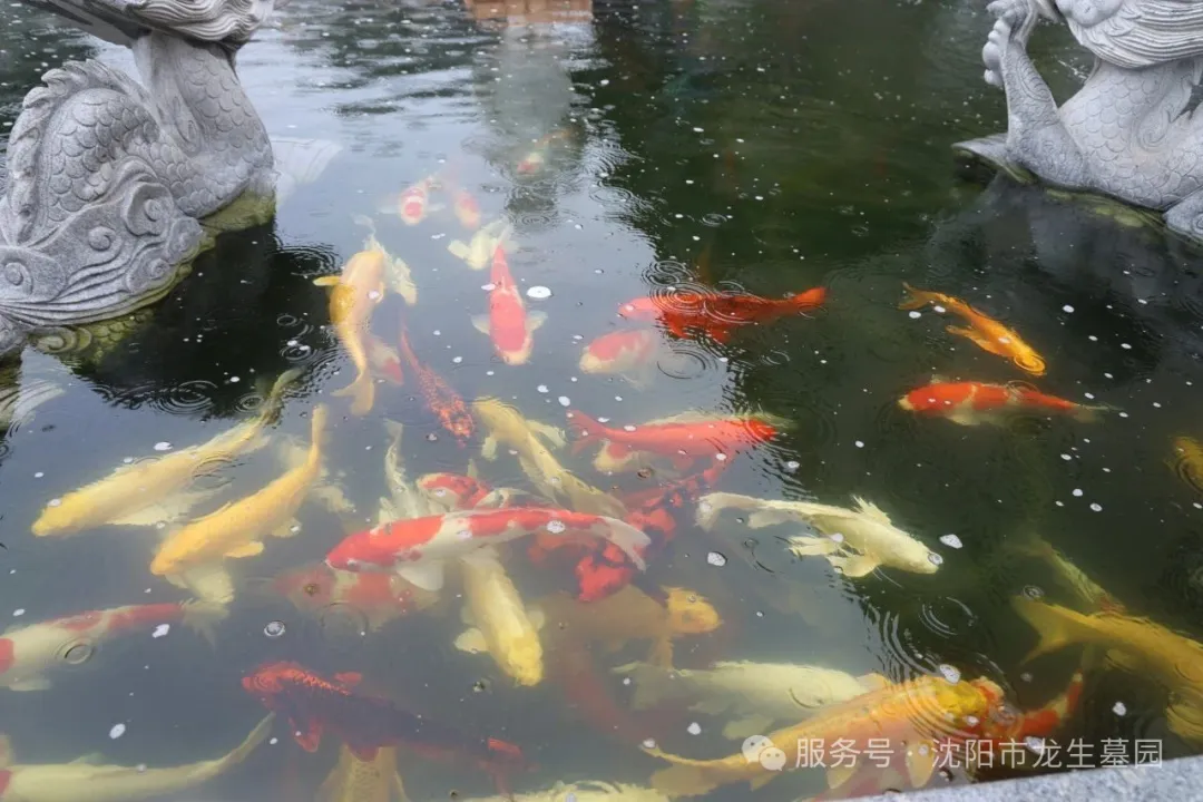 沈陽龍生墓園父親節特輯｜把愛釀進時光