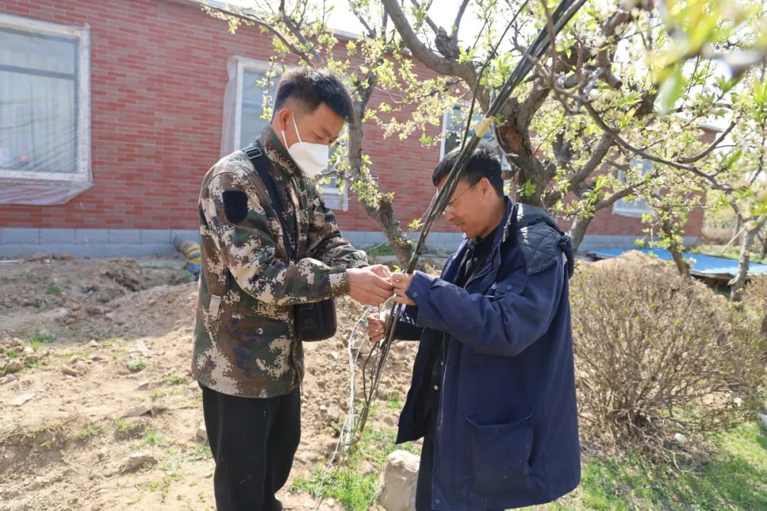 元旦喜迎新，龍生憶去歲，展今朝，未來可期，沈陽墓園365天為愛守護！