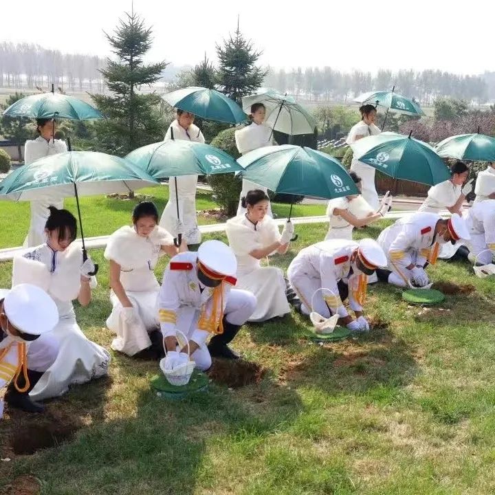 元旦喜迎新，龍生憶去歲，展今朝，未來可期，沈陽墓園365天為愛守護！