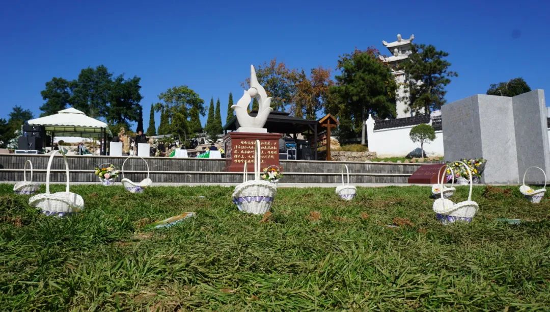 元旦喜迎新，龍生憶去歲，展今朝，未來可期，沈陽墓園365天為愛守護！