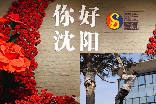 沈陽陵園開展國慶節園區安全檢查工作，全力實現平安龍生墓園！