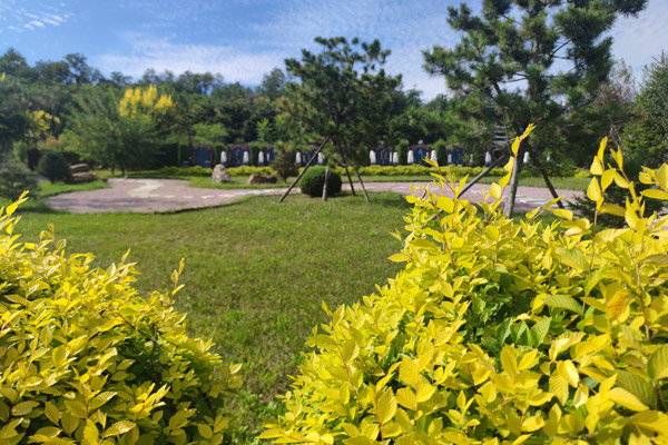 沈陽墓園墓地價格行情如何，有哪些因素會影響墓地價格？