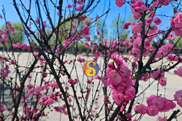 沈陽龍生墓園