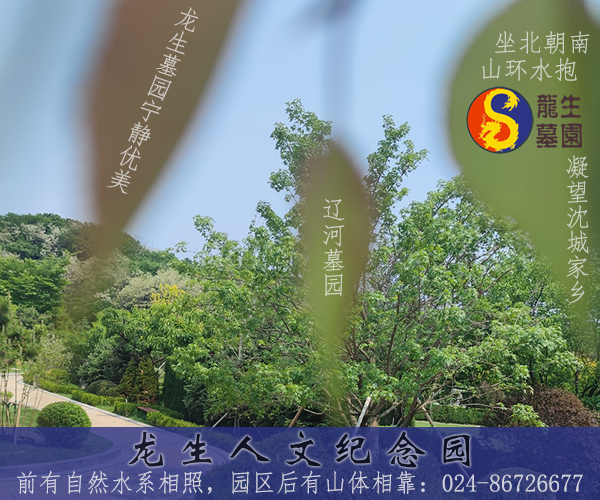 沈陽陵園祭祀為何重要？孝道與文化的傳承！
